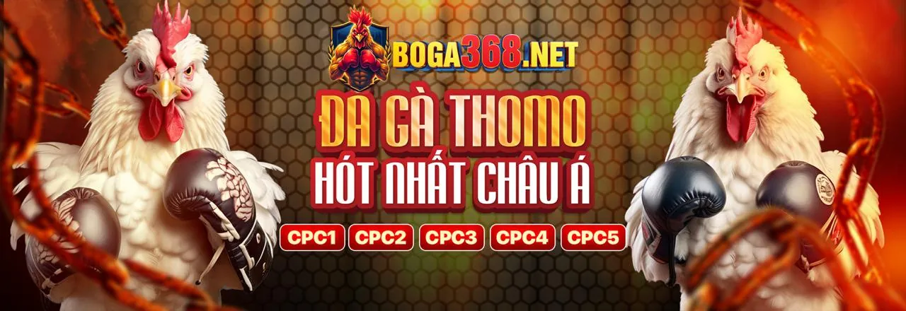 Tỷ lệ thắng cao và Jackpot lớn